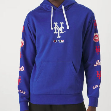 HOODED SWEATSHIRT FELPA