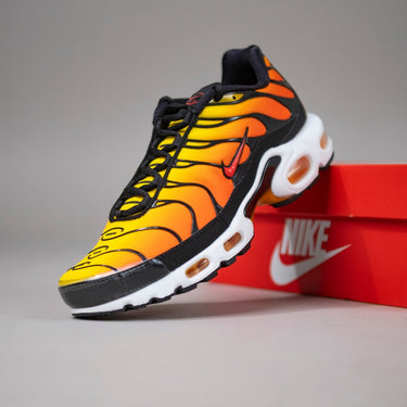 Nike air max plus tn
