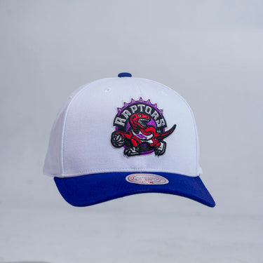 Mitchell&ness cap raptors