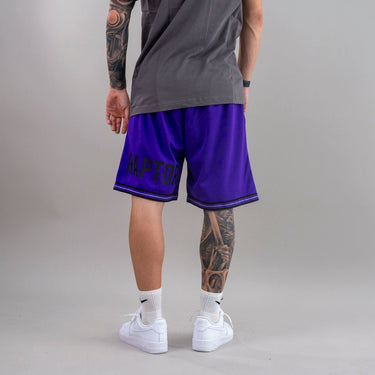 Mitchell&ness short raptor