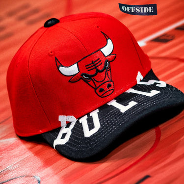 mitchell & ness bulls