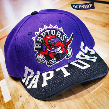 mitchell & ness raptors