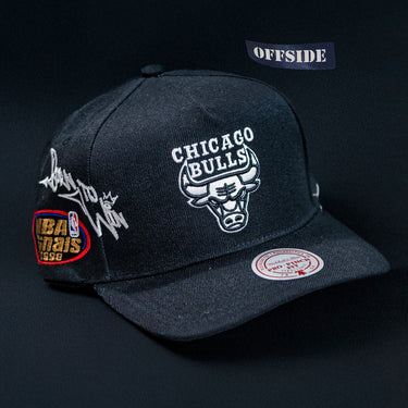 mitchell & ness chicago bulls
