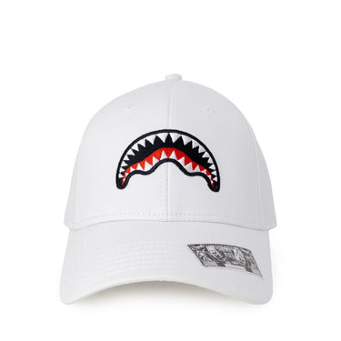 Sprayground cap
