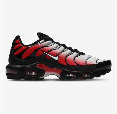 Nike air max plus