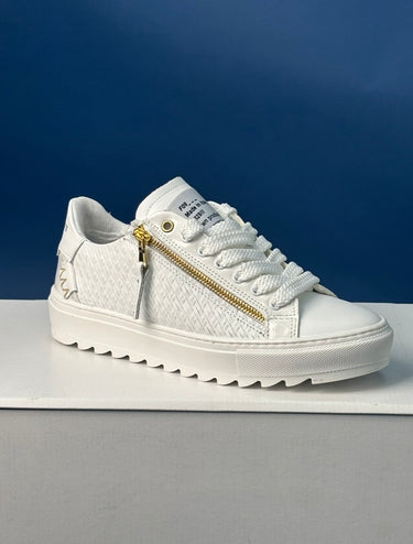 f09 squalos low
