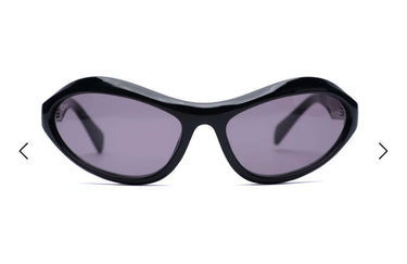 sunglasses phoenix