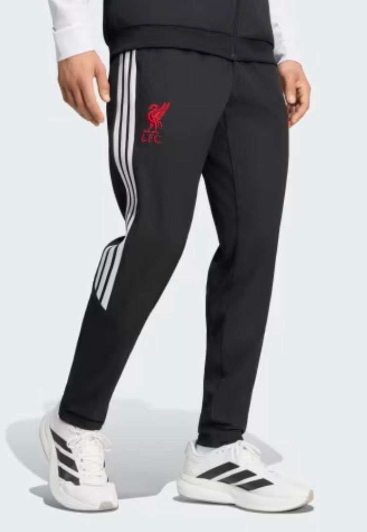 adidas pantalone liverpool