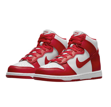Nike Dunk high ps kids