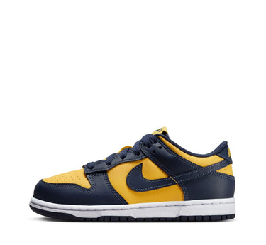 Nike dunk low kids