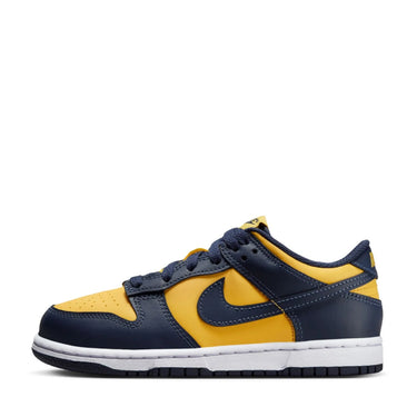 Nike dunk low kids