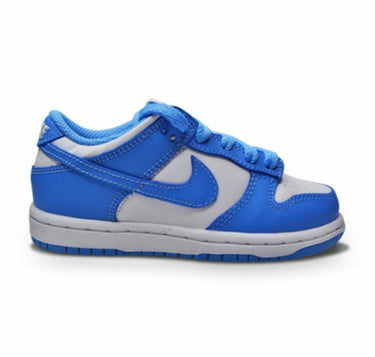 Nike dunk low kids