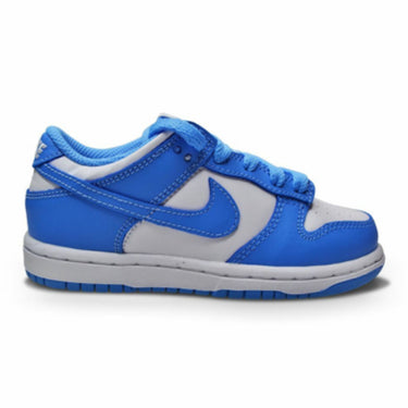 Nike dunk low kids