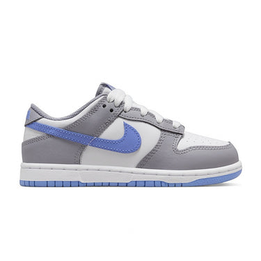 Nike dunk low kids