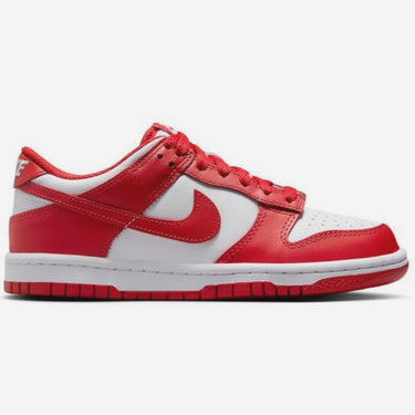 Nike dunk low kids