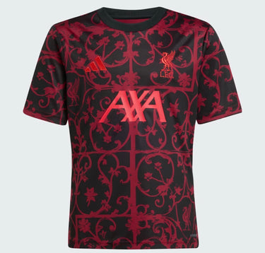 adidas t-shirt liverpool kids